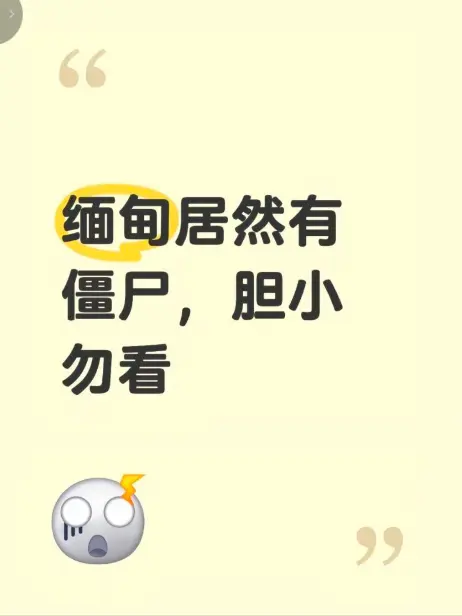 《缅甸僵尸出土事件》高清完整版在线观看 - 缅北神秘事件真相揭秘 - 无删减免费播放