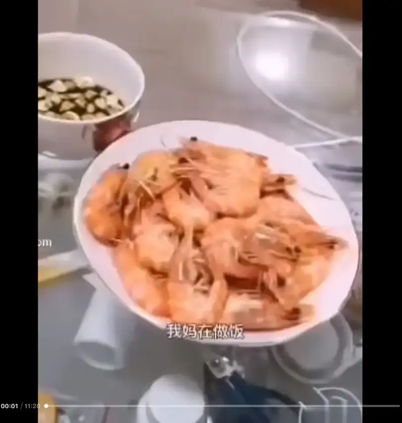 《大虾母子厨房完整版》高清视频百度/夸克/迅雷网盘资源免费在线看-猎奇视频揭开梗的神秘面纱-来龙去脉一看就明白-大虾母子厨房